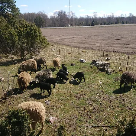 Βίλα Pollu Talu Puhkemajake *