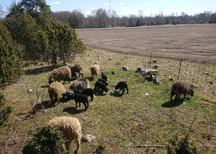 Villa Pollu Talu Puhkemajake *